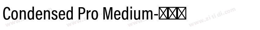 Condensed Pro Medium字体转换